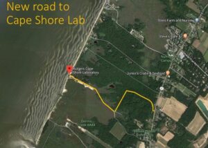 Map Of New Cape Shore Lab Road