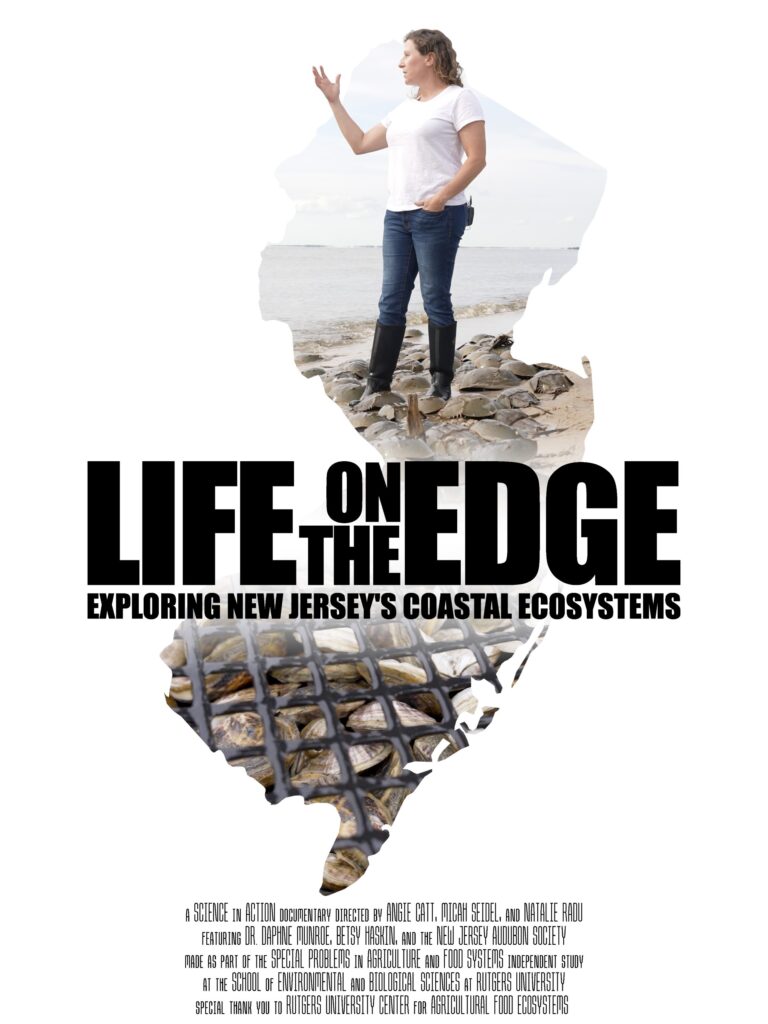 Life On The Edge (NJ) Theatrical Poster