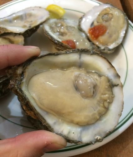 oyster photo