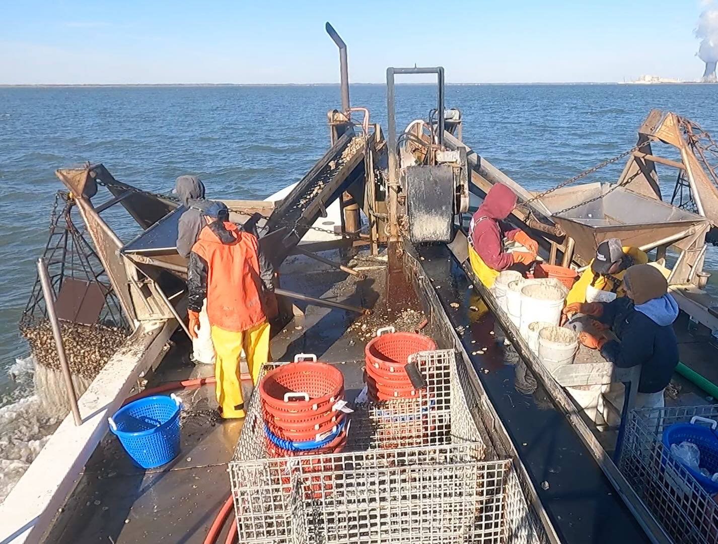 Shellfish Sampling Delaware Bay Oyster Stock Assessment Reports – Haskin Shellfish ...